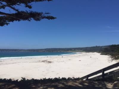 Carmel beach