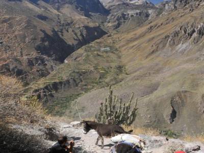 Trel Canyon del Colca