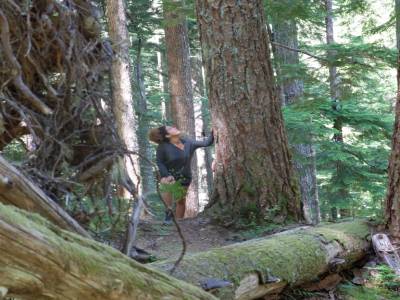 Flower ridge trail