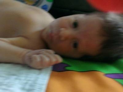 Ossian 19 jours