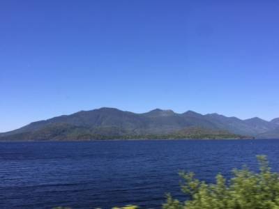 Tofino