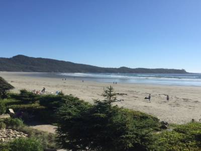 Tofino