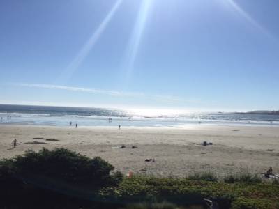 Tofino