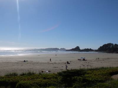 Tofino