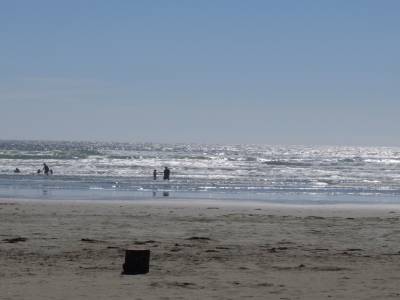 Cox bay