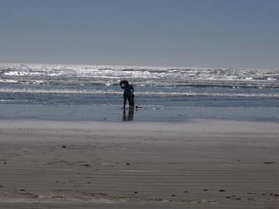 Cox bay