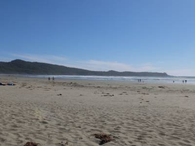 Cox bay