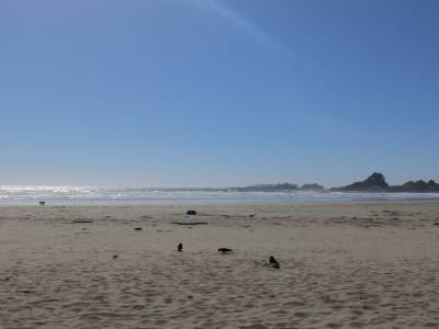 Cox bay