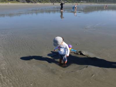 Cox bay