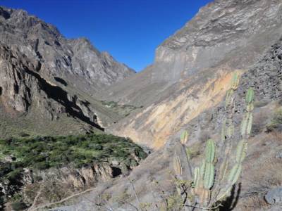 Trel Canyon del Colca