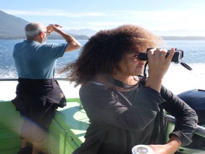 whale watching