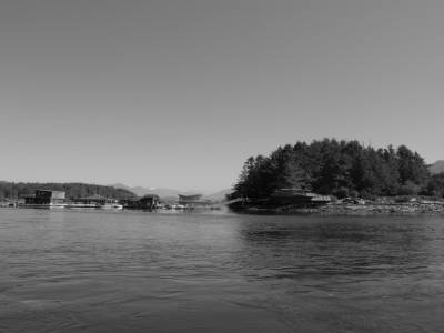 whale watching