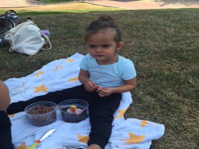 Pause Picnic