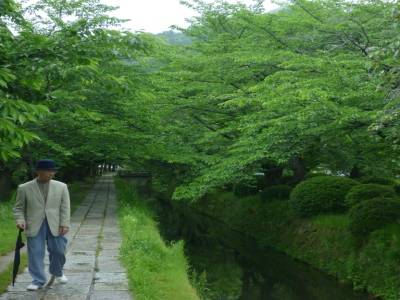 Chemin de la philosophie