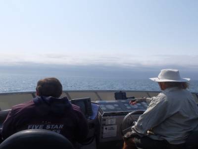 Orca watching