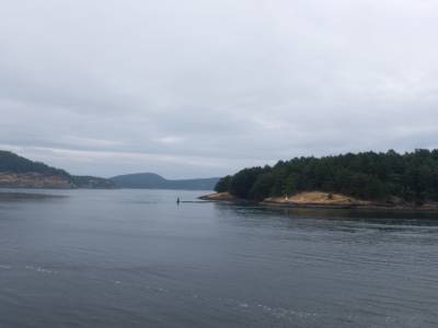 Ferry