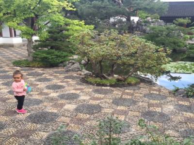jardin classique chinois Sun Yat-Sen