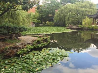 jardin classique chinois Sun Yat-Sen