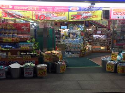 Nishiki food market