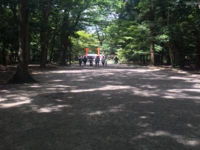 forêt Tadasu no Mori