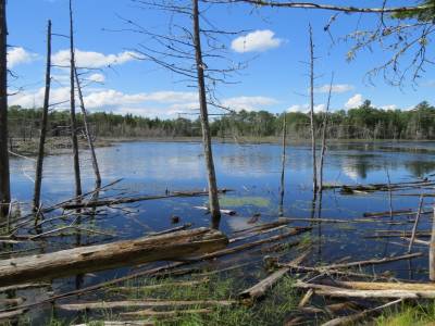 parc provincial mactaquac,nouveau-brunswick,canada