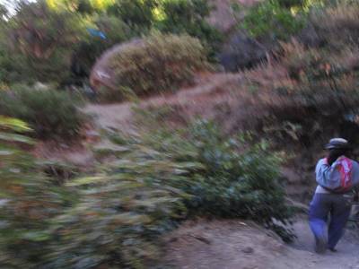 Canyon del Colca