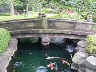 Poisson Japonais