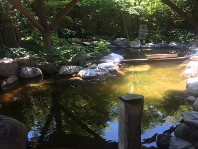 Ryokan hakone