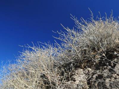 Canyon del Colca