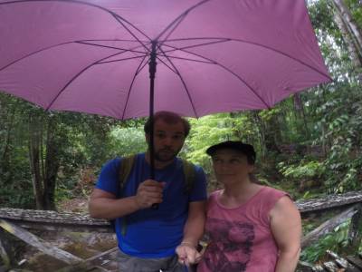 Lambir Hills sous la pluie