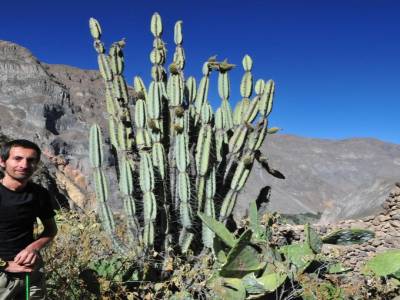 Canyon del Colca