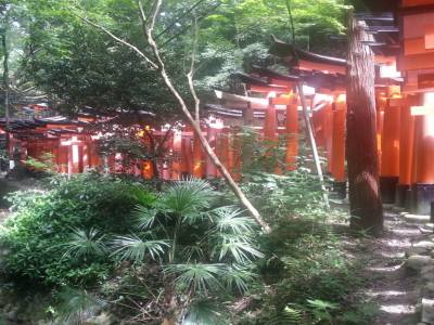 Temple de Fushimi