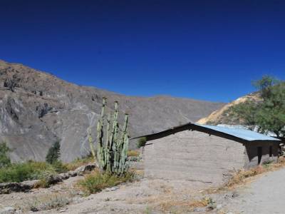 Canyon del Colca