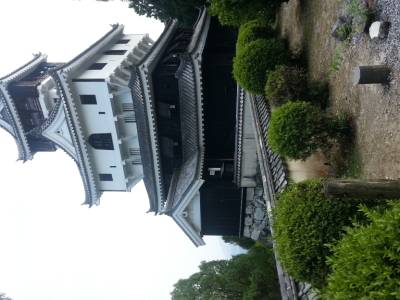 Castle d'Iwakuni