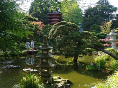 Japanese Tea Garden