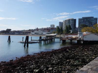 Aquatic Park