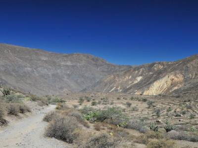 Trel Canyon del Colca