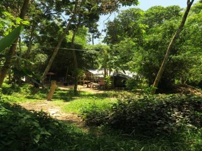 Village perdu dans la jungle