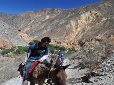 Trel Canyon del Colca