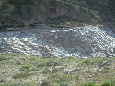 Les salines