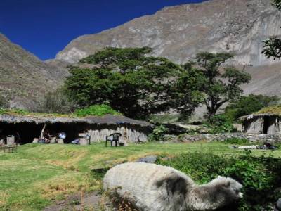 Canyon del Colca