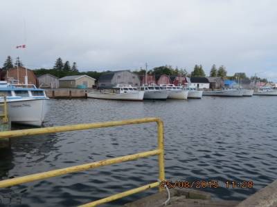 baie malpeque,ile du prince edouard,canada