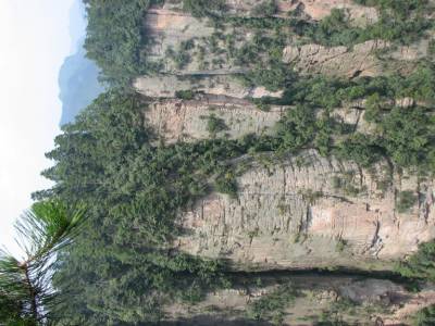 Paysage