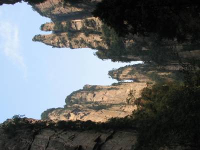 Paysage toujours