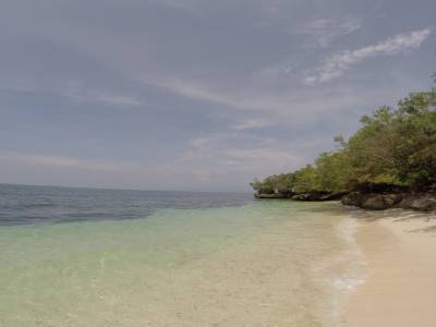 Paliton Beach : 0 vache, 100% algues
