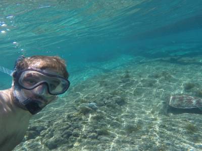 Selfie tortue