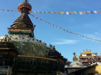 Monkey temple