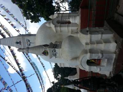 Monkey temple
