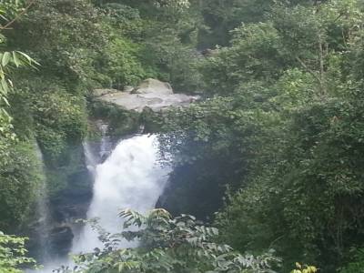 Cascade