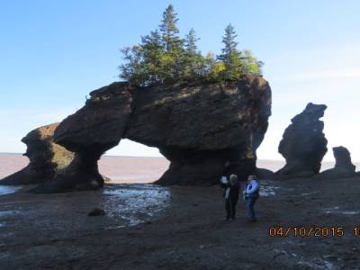 hopwell rock,nouveau-brunswick,canada